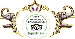 TripAdvisor Excellence Award 2017